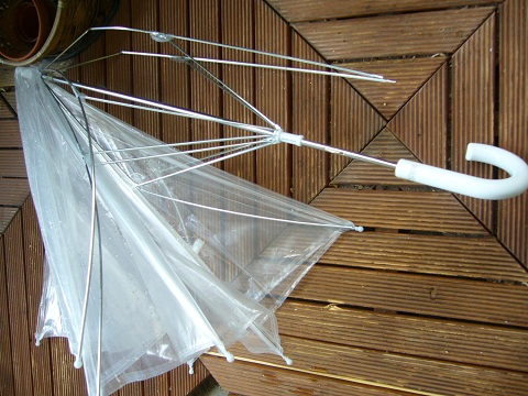 f0143521_142072.jpg