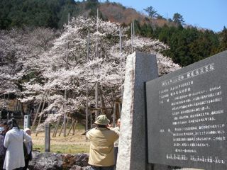 e0107725_8123631.jpg