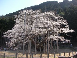 e0107725_8124450.jpg
