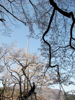 e0107725_8125112.jpg
