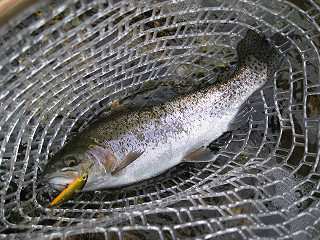f0065341_15205032.jpg