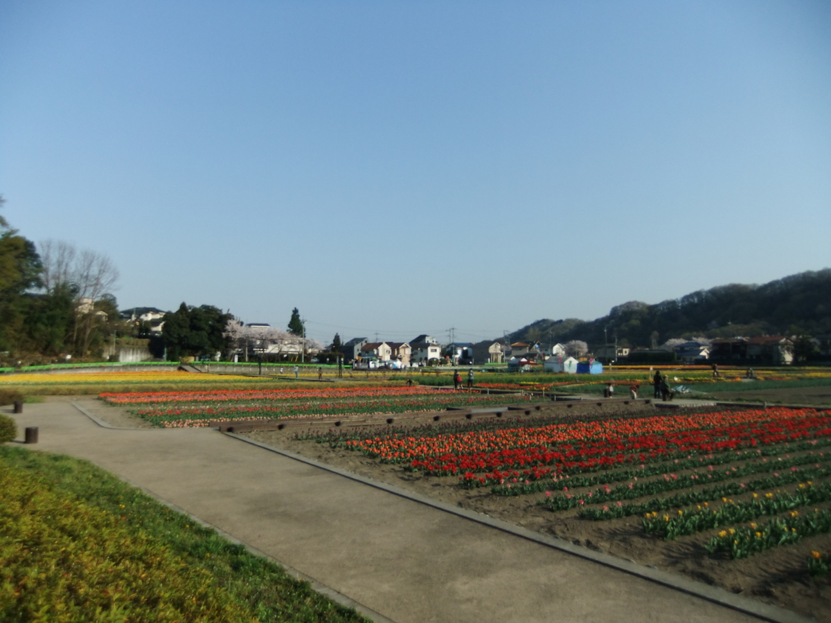 e0206242_901944.jpg