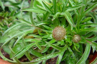b0200747_23553644.jpg