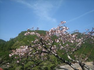 a0054948_8484381.jpg