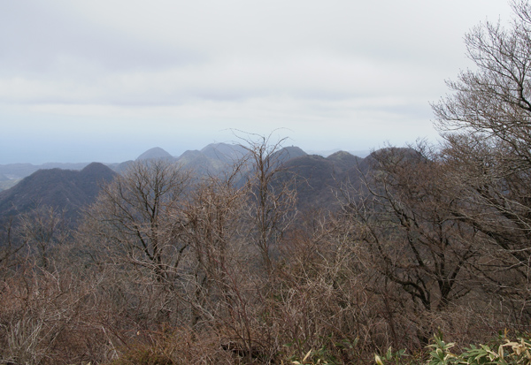 f0214649_59568.jpg