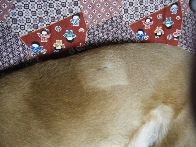 b0072650_13371513.jpg