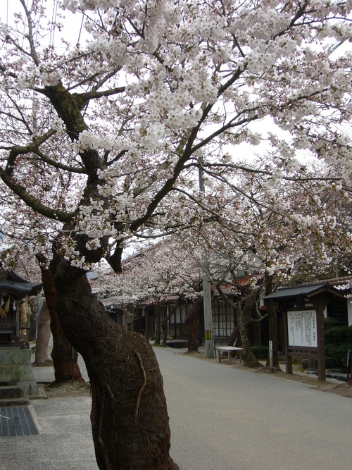 b0174451_746573.jpg