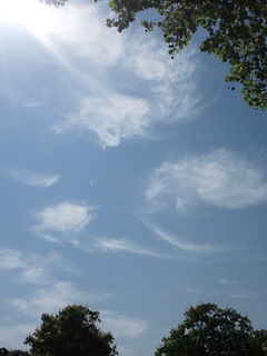 b0208756_1175755.jpg