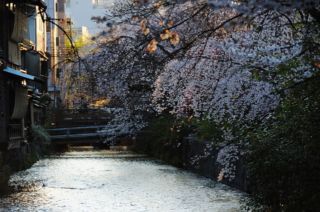 f0222161_941182.jpg