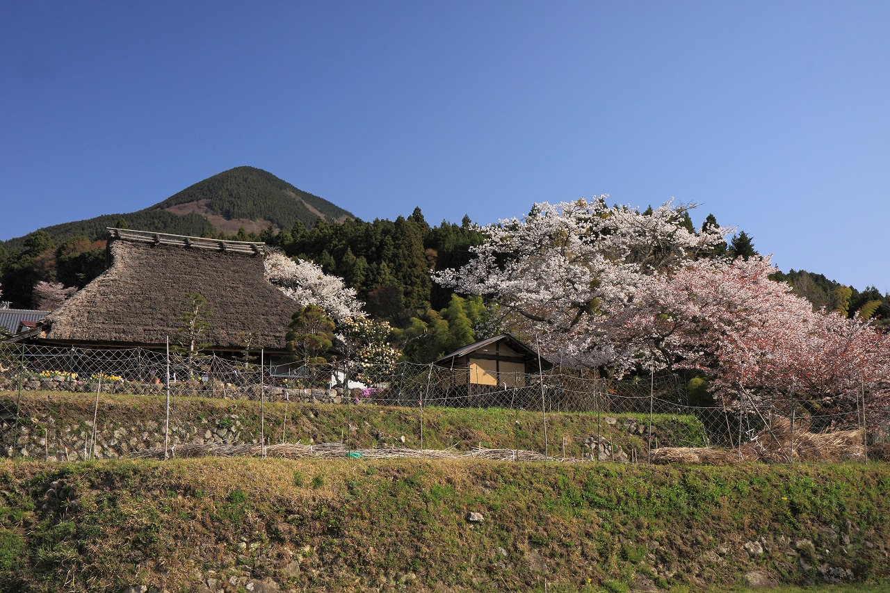 f0234862_2055069.jpg