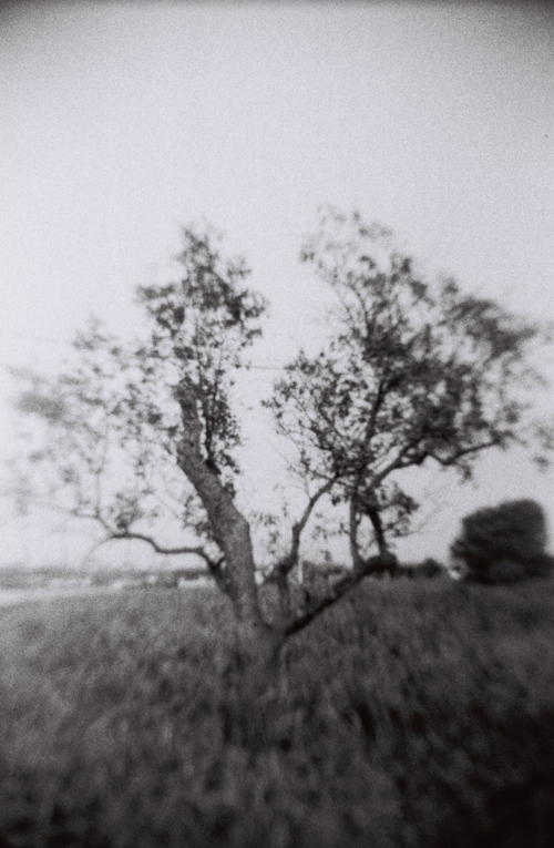 b0149365_22565089.jpg