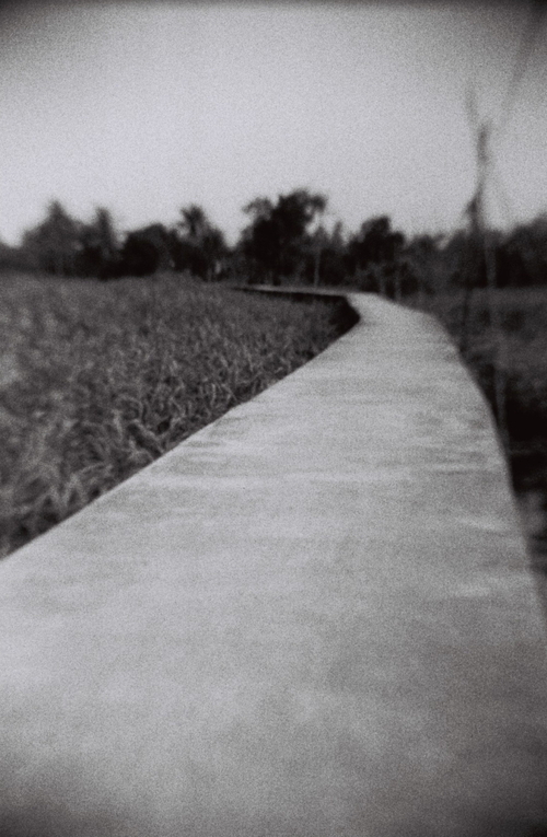 b0149365_235234.jpg