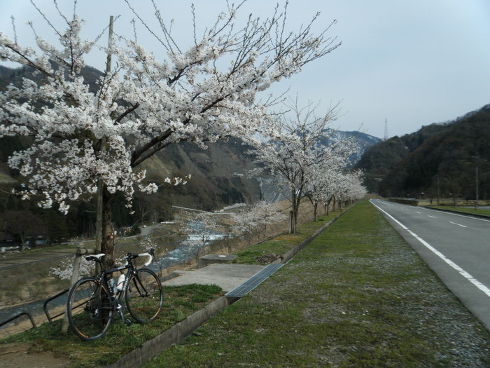 f0223068_756588.jpg