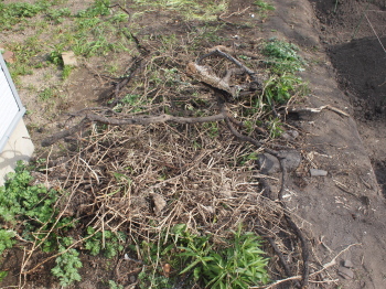 d0163670_17573673.jpg