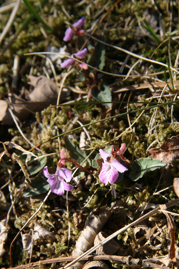 e0118274_22272925.jpg