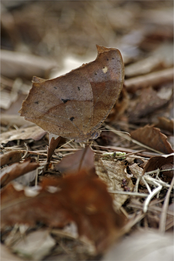 d0209988_203077.jpg