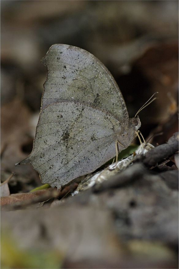 d0209988_2044147.jpg
