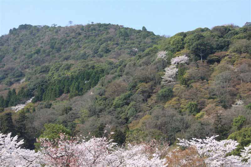 c0208389_11101185.jpg