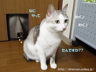 a0159490_13142826.jpg
