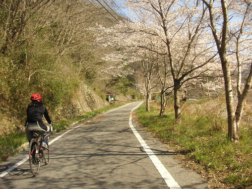 d0115997_142989.jpg