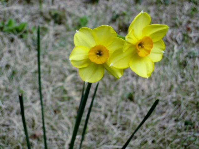 a0075800_15433580.jpg
