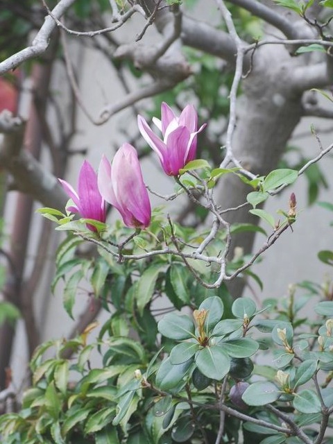 e0025300_14562830.jpg