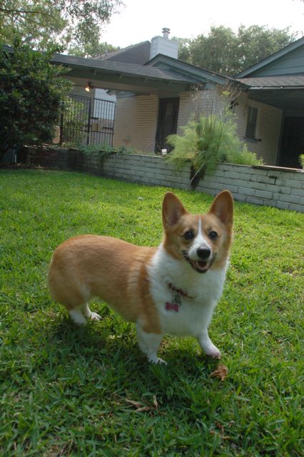 f0227709_937121.jpg