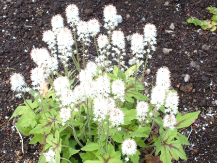 b0208811_21385620.jpg