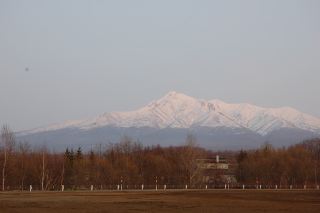 a0112812_21455421.jpg