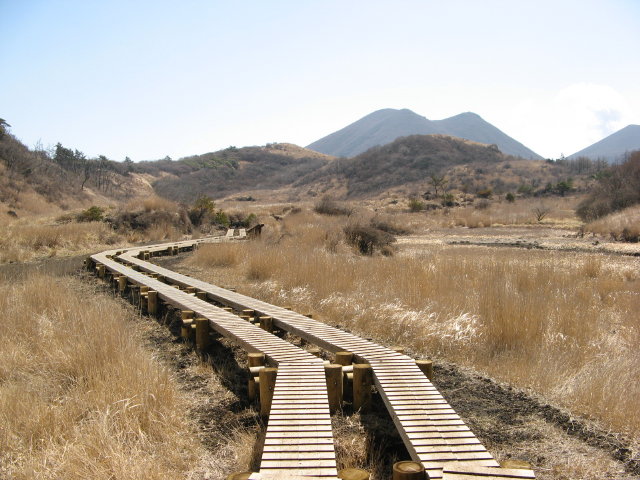 d0006512_21391661.jpg