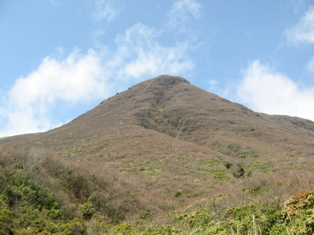 d0006512_21435574.jpg