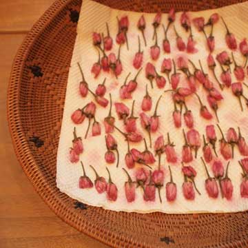 c0103119_14171232.jpg