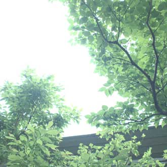 c0103119_14174835.jpg