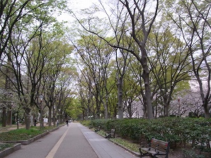 f0231319_13292387.jpg