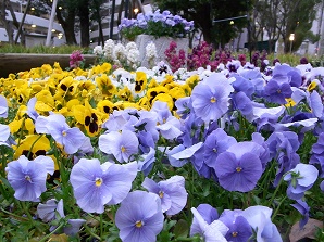 f0231319_13295657.jpg