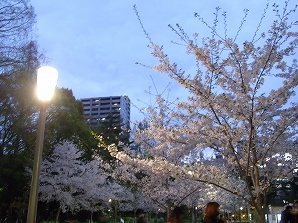 f0231319_13544485.jpg