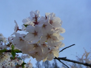 f0231319_13545340.jpg