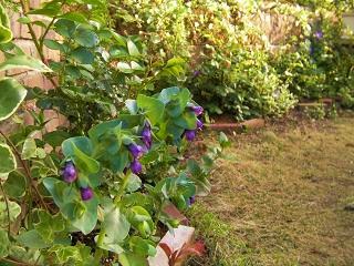 c0204121_16562150.jpg