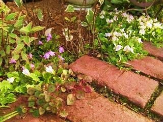 c0204121_17252824.jpg