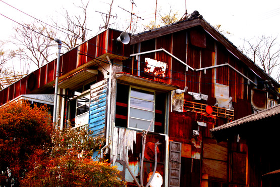 e0201121_114244.jpg