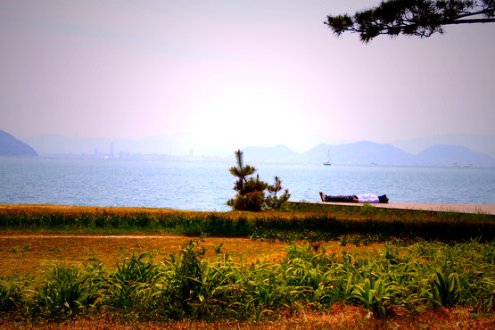 e0201121_162736.jpg