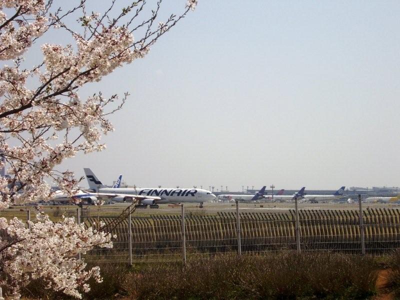 a0166324_12265574.jpg