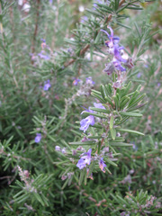 f0053026_12293491.jpg