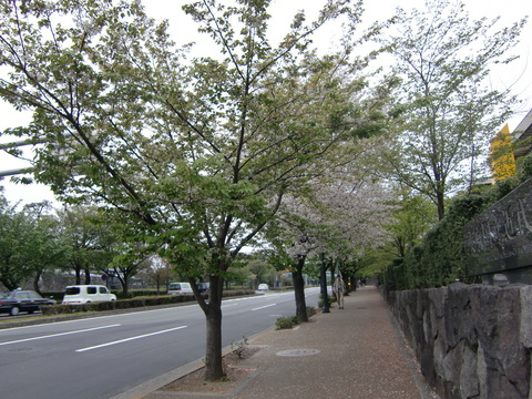 c0206352_20503917.jpg