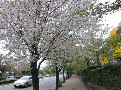 c0206352_2053732.jpg