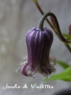 e0118257_1642039.jpg