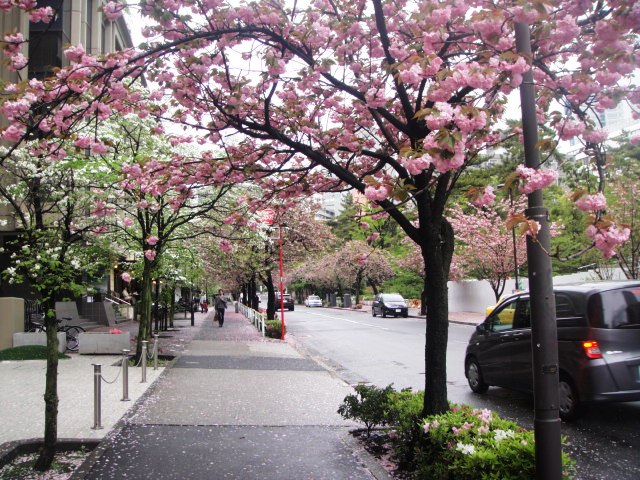 f0172458_2229333.jpg