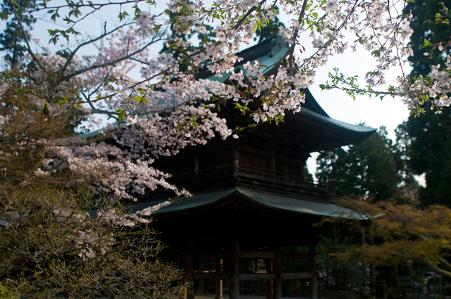 f0176458_741519.jpg