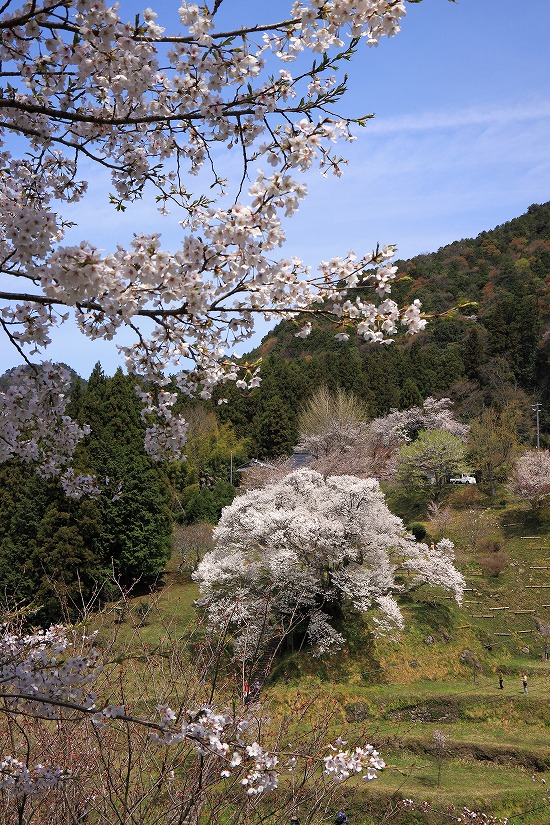 f0234862_21263254.jpg