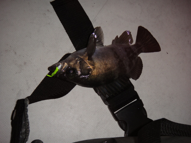 c0225669_2271899.jpg